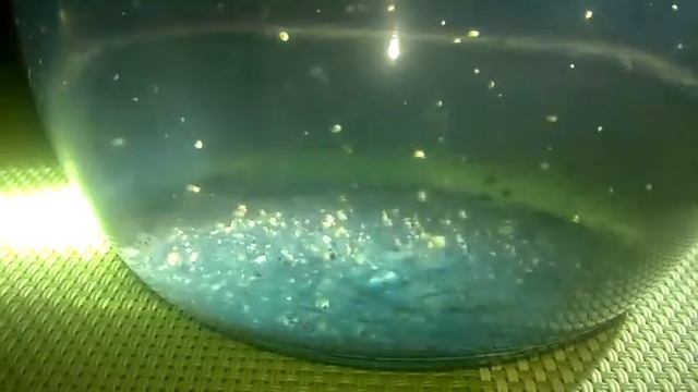 Новый корм для аквариумных рыбок. Из бочки (с сада) смотреть онлайн