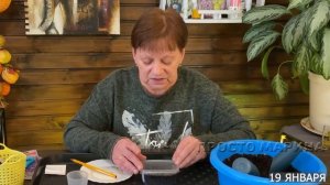 Петуния и лобелия. Посев семян на рассаду.