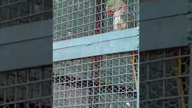 Sarnath || The Historical Place || Dhamek Stupa