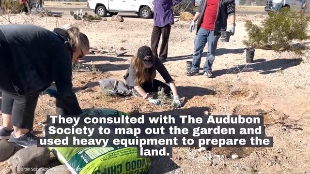 Watch now: Tucson neighborhood unites, plants pollinator garden смотреть онлайн
