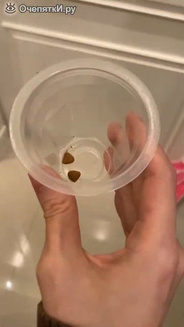 как разозлить собаку смотреть онлайн