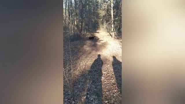 Водоброс смотреть онлайн