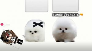 мы суглинки белые собачки