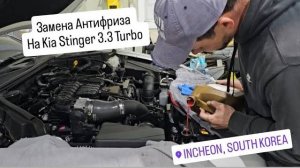 Замена Антифриза на Kia Stinger 3.3 turbo.