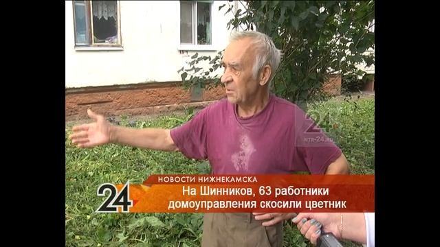 В Нижнекамске работники домоуправления скашивают цветник, который разбила пенсионерка смотреть онлайн