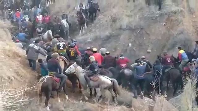 Аламан улак Ноокат Кайрагач смотреть онлайн