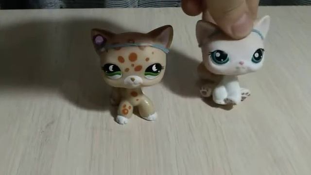 Очень важное сообщение!!!!!!!!! КАКАЯ КОНЦОВКА БУДЕТ В ЛПС ФИЛЬМЕ ЛЕДИ БАГ И СУПЕР КОТ?