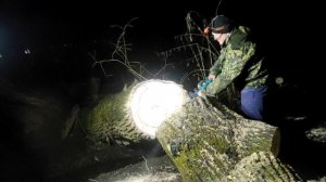 🔋Аккумуляторная цепная пила Sturm! CSC3616BL