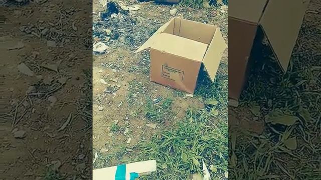 Петарда стрел