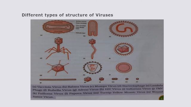 Botany Intermediate Second Year, Chapter 8 - Viruses, Unit - 2 Microbiology, Part 2 смотреть онлайн
