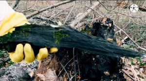 СБОРНИК: ЧД (Заброшенный замок; Страшный лес; Первые страницы ЧД) | Часть 1🧐🔮(фан Ани Меджик)