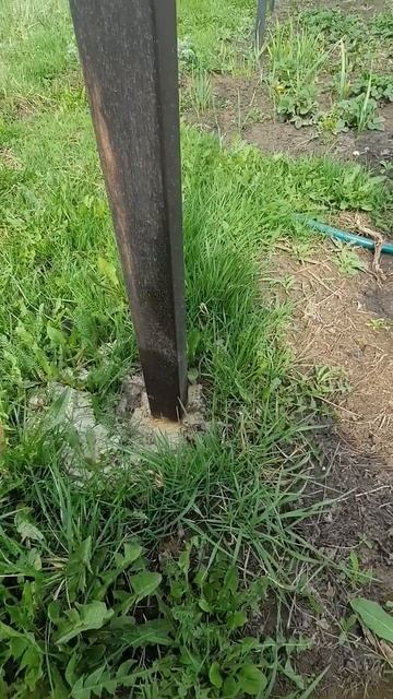 Зеленый оазис