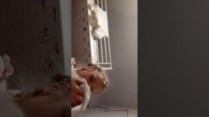 обзор на маево самадельного реборна