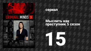Мыслить как преступник 5 сезон 15 серия «Враг государства» (сериал, 2005-2020)
