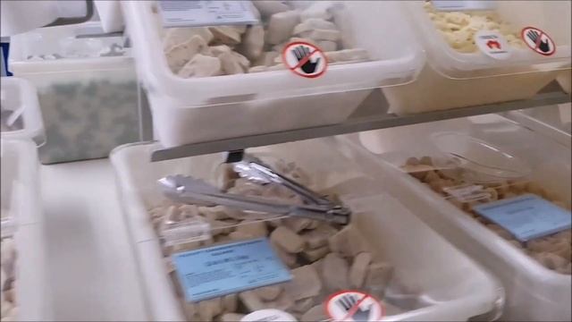 We Go To The Lolly Shop! Every Kind Of Lolly, How Do We Choose!?!
