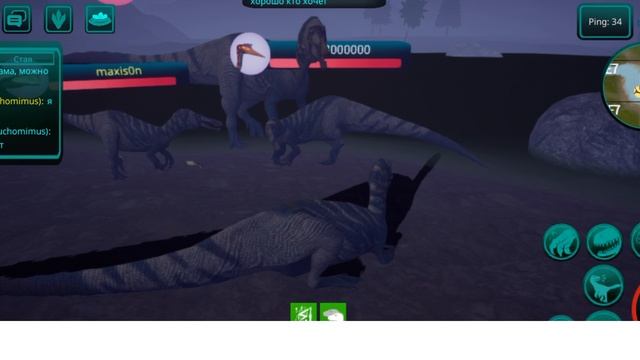 играю за зухомима с гнезда/the cursed isle смотреть онлайн