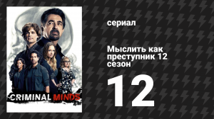 Мыслить как преступник 12 сезон 12 серия «Хороший муж» (сериал, 2005-2020)