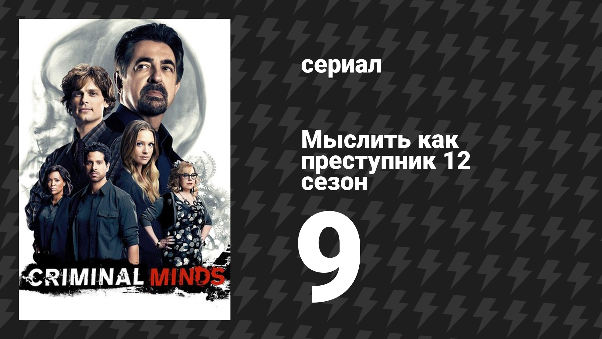 Мыслить как преступник 12 сезон 9 серия «202-ая жертва» (сериал, 2005-2020)