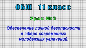 ОБЖ 11 класс (Урок№3 - Обеспечение личной безопасности в сфере современных молодежных увлечений.)
