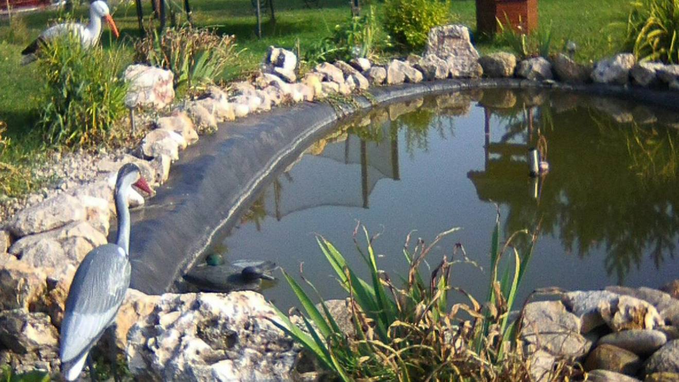 Трепет пробуждения чувств