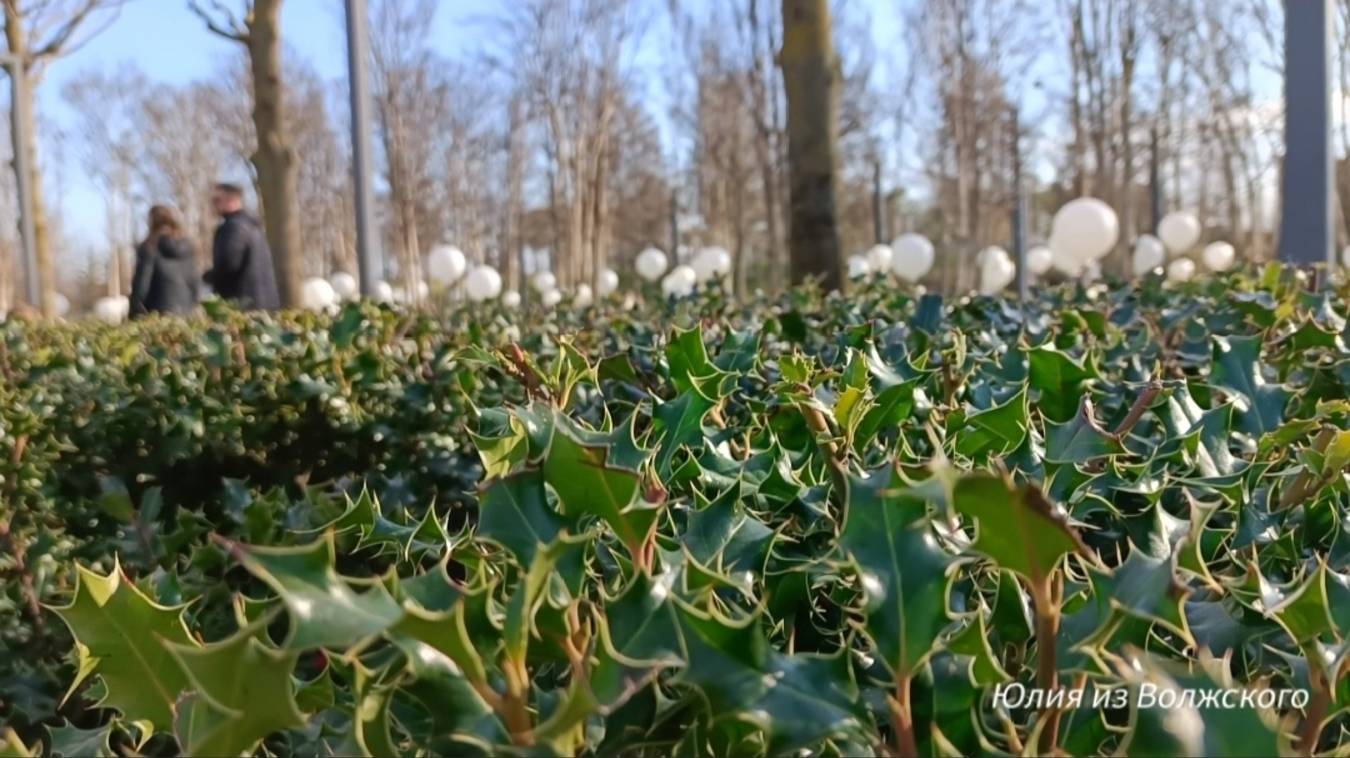 Краснодар. Солнечный день в Парке Галицкого. смотреть онлайн