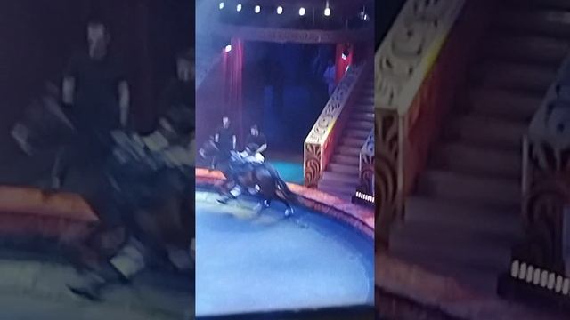 Я в вциркй смотреть онлайн