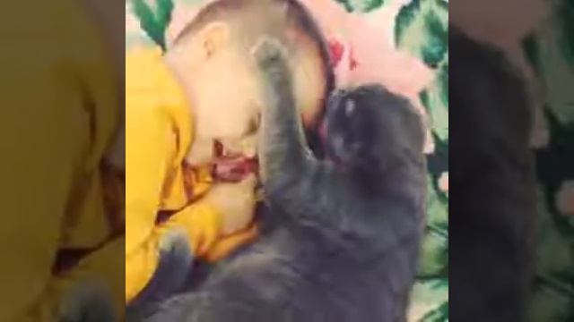 Мальчик и кот смотреть онлайн