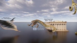 Star Wars monsters size comparison | 3D animation