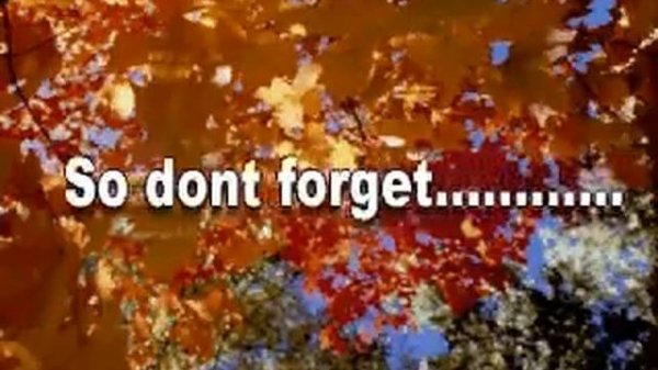 The Green Cross Code