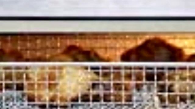 TOP 5: Best Toaster Oven Air Fryer For 2021 смотреть онлайн