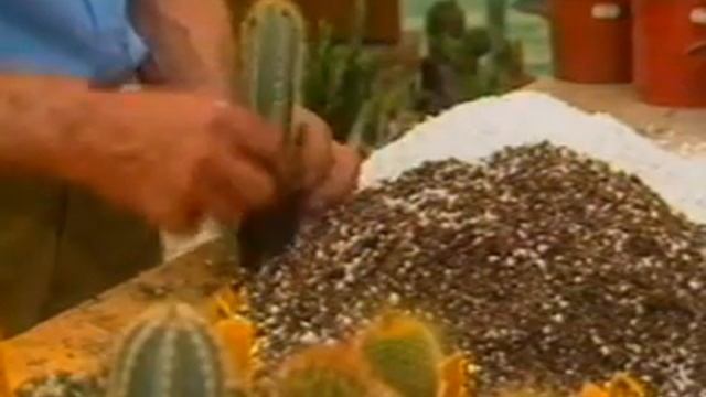 Europerl Perlit Agroperl.MP4 смотреть онлайн