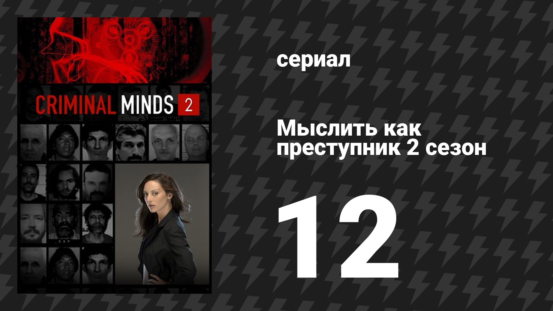Мыслить как преступник 2 сезон 12 серия «Профайл профайлера» (сериал, 2005-2020)