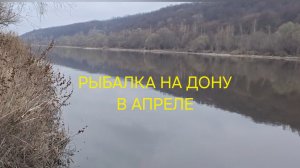 РЫБАЛКА НА ДОНУ В АПРЕЛЕ!!!