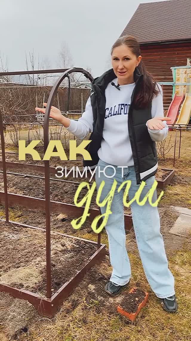 Друзья, очень часто поступает вопрос: как зимуют дуги? смотреть онлайн