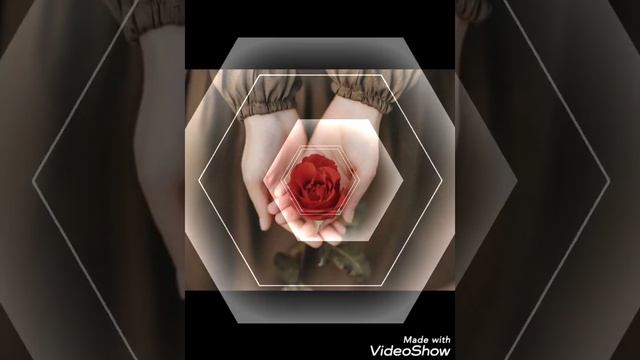 Beautiful Red roses 🌹 DPZ || couple dp || Flower dpz || whatsapp dpz смотреть онлайн