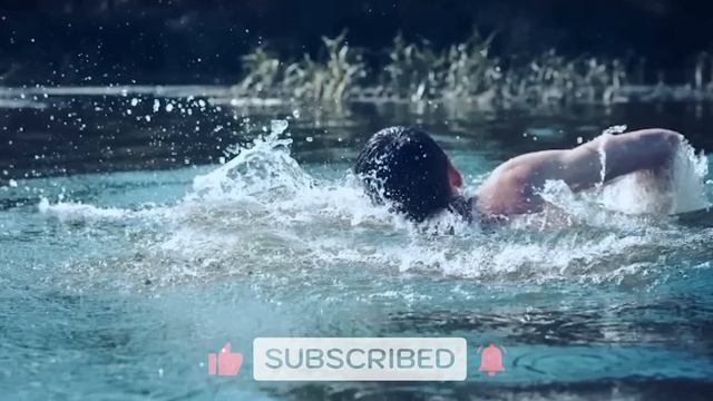The Mother Bear Brought Her Dying Cub To This Man, Then Something Unbelievable Happened смотреть онлайн