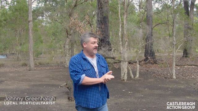 Castlereagh Action Group Video 3 A Recommendation with No Basis смотреть онлайн