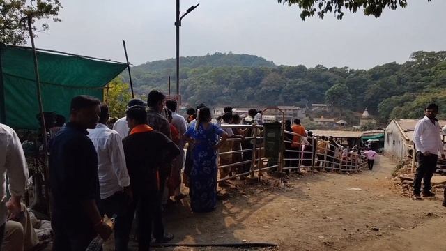 Bhimashankar Jyotirlinga Temple Full Tour In Telugu | Bhimashankar Information | Pune | Maharashtra