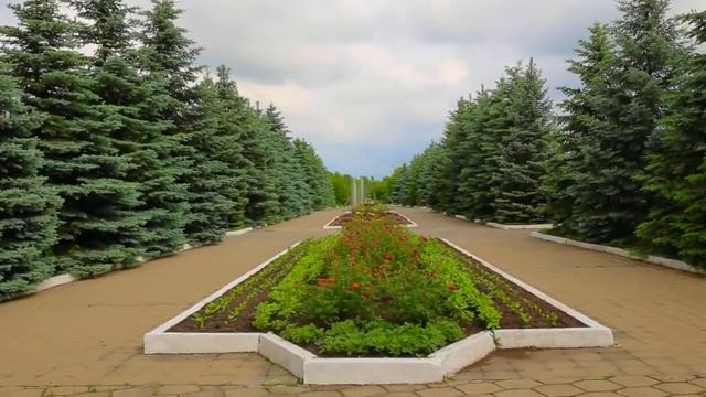 Любимые строфы генерального директора (акция "Лето с Пушкиным") смотреть онлайн