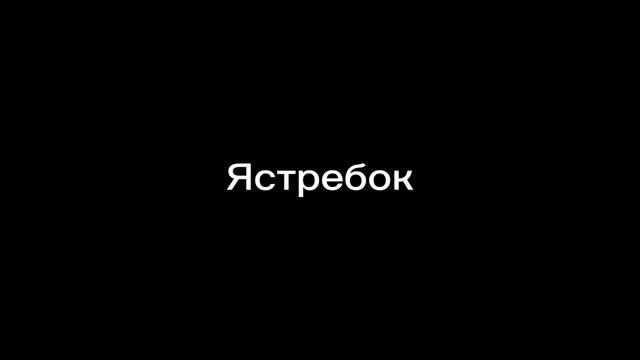 эдит ||Крутобок||Горелый||Снежок||Ястребок||Молнехвостый||Пятнистая Звезда|| сделать эдит на заказ? смотреть онлайн