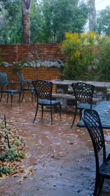 Rain Sounds for Deep Sleep @naturerainbybuzz смотреть онлайн