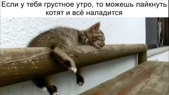 Дорогие подписчики, доброе утро ️С наступающим вас... смотреть онлайн