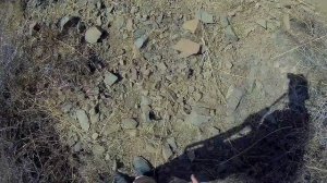 Охота в Узбекистане. 15.10.2020 открытие сезона на кеклика