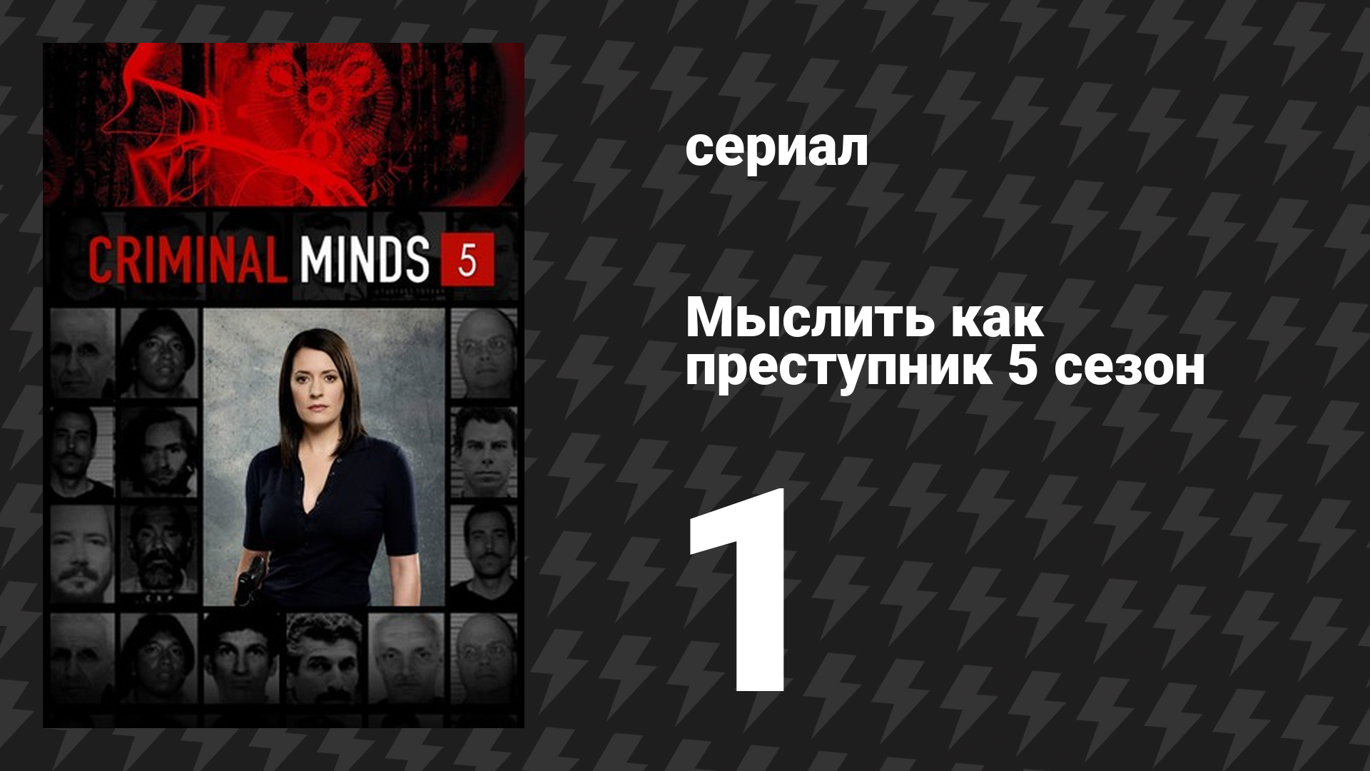 Мыслить как преступник 5 сезон 1 серия «Безымянный и безликий» (сериал, 2005-2020)