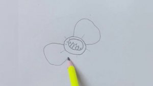 Rafflesia drawing easy,Rafflesia flower drawings for science,Epiphytic parasitic plant drawing easy