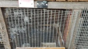 клетки для кроликов.mp4