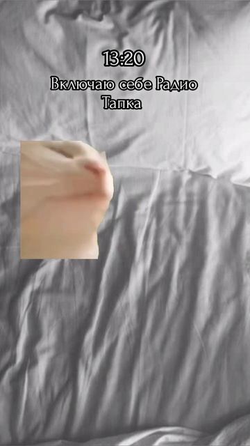 Один день из моей жизни 😆 [ #кот #котики #мем #мемная #котик #жиза #fupシ #on #тренды #говрек ] смотреть онлайн