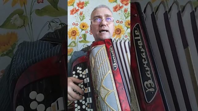 VID 20200623 183302 Кошка Бэлла или Кошачий фокстрот. смотреть онлайн