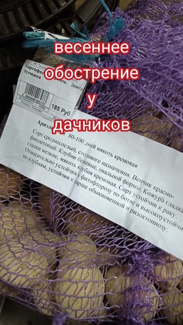 Посадочная "лихорадка"началась смотреть онлайн