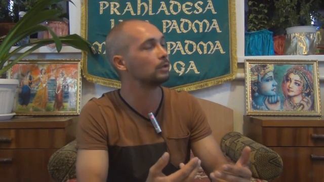 Спасая пингвинов - Ярослав Богомол смотреть онлайн